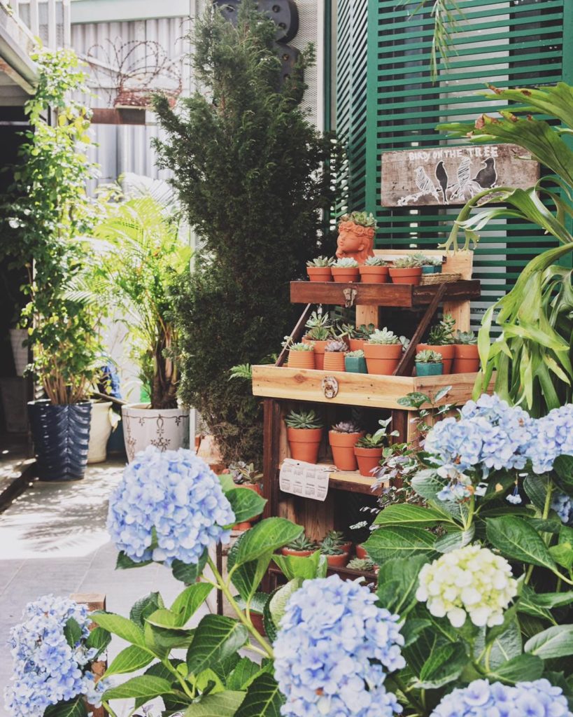 Ô Cửa Sổ được bày trí với nhiều loại hoa