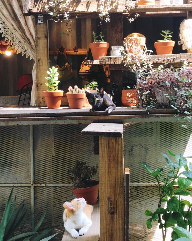 Vibe decor xin xắn tại Ô Cửa Sổ