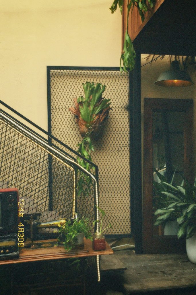 Địa Điểm Đà Nẵng