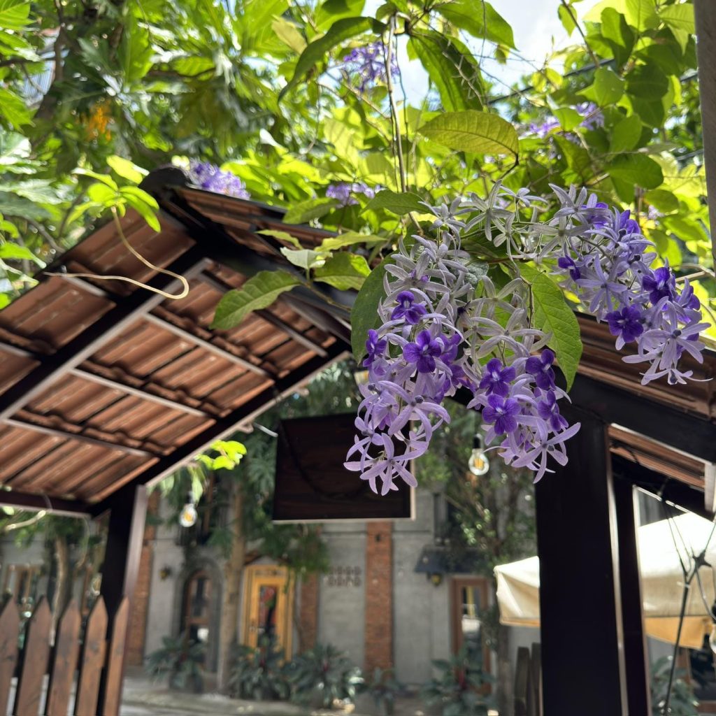 Địa Điểm Đà Nẵng