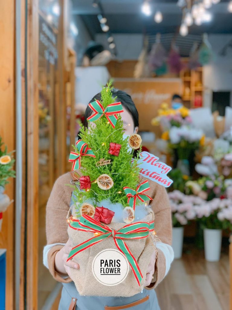 Địa Điểm Đà Nẵng