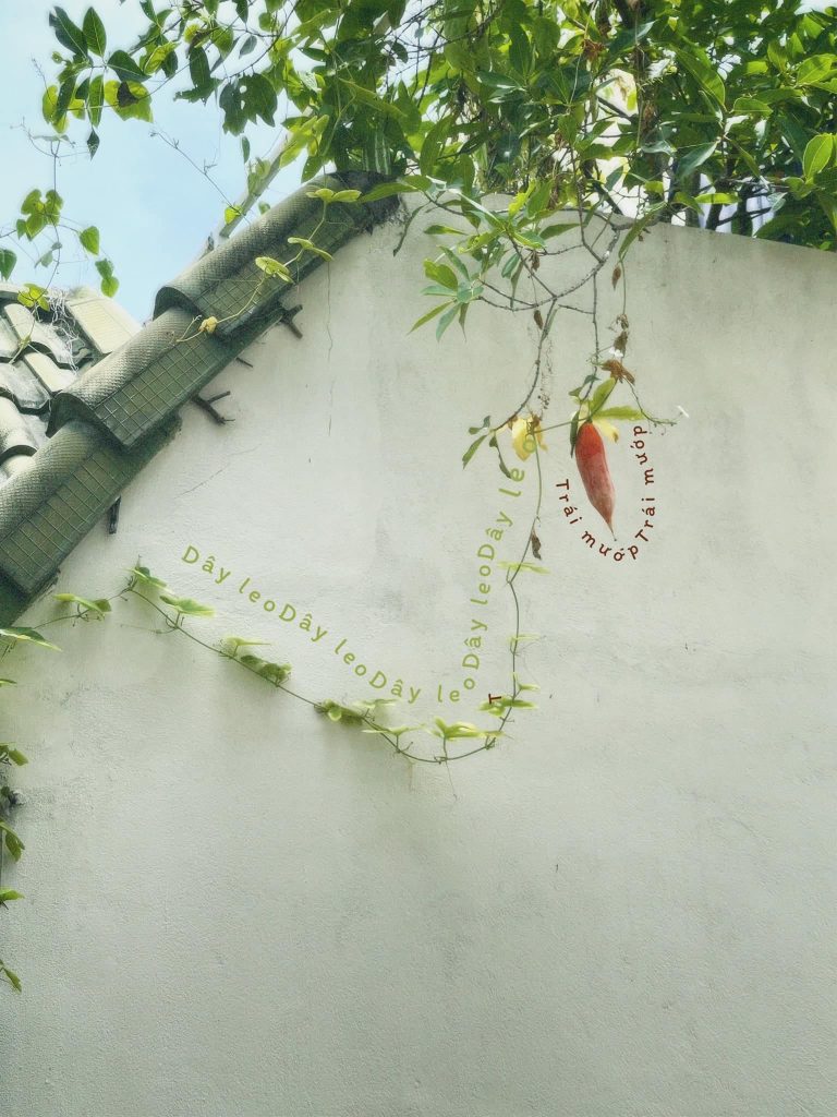 Địa Điểm Đà Nẵng