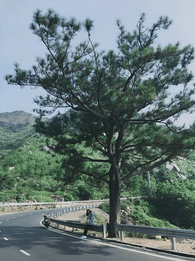 Địa Điểm Đà Nẵng